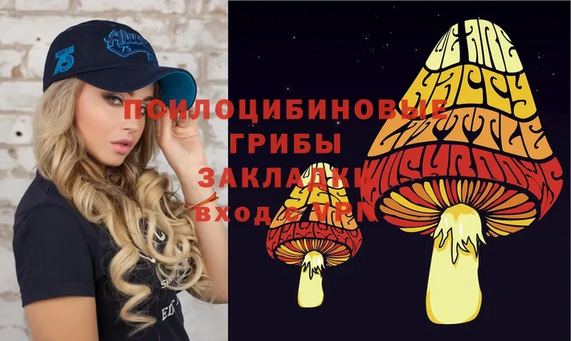 Псилоцибиновые грибы MAGIC MUSHROOMS  где продают наркотики  Гудермес 